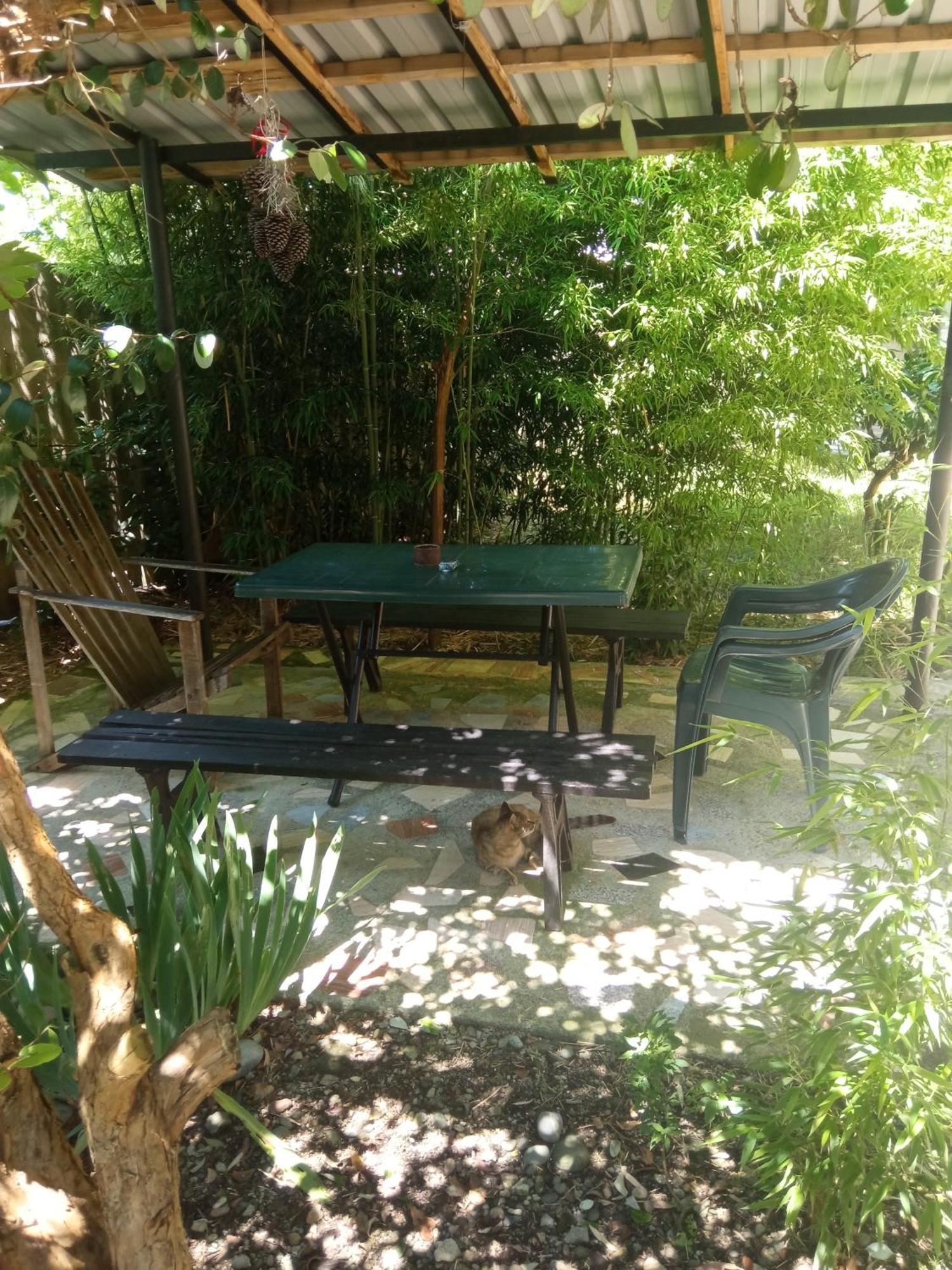 Zaza Hotel Kobuleti Bagian luar foto